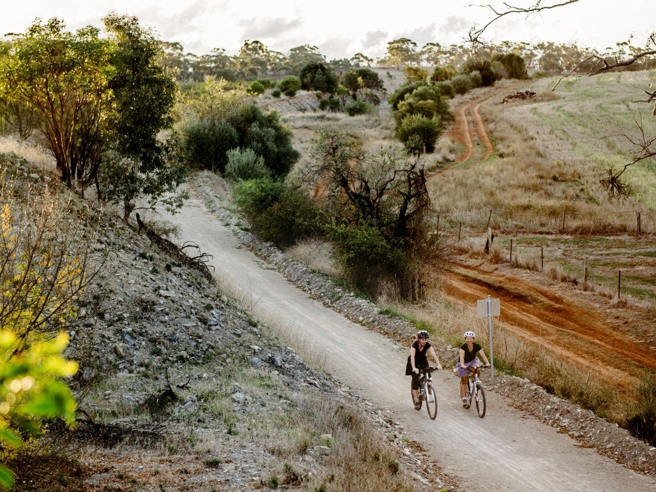 The Riesling Trail Clare Valley